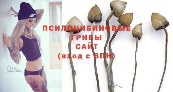 бошки Армянск