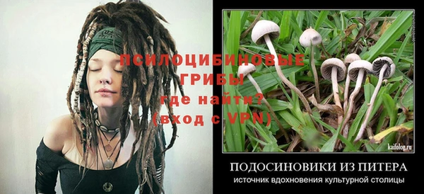 бошки Армянск