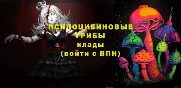 бошки Армянск