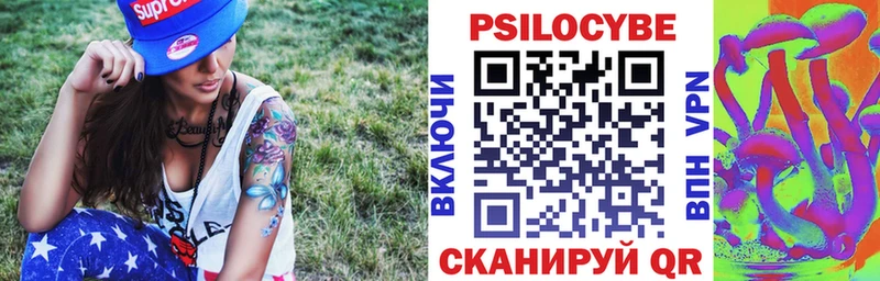 OMG маркетплейс  Суворов  Галлюциногенные грибы Psilocybe 